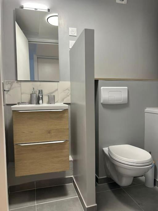 New Cosy House 15 Min Paris Roissy Cdg & 6 Min Parc Asterix I Villepinte Vemars 外观 照片